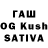Псилоцибиновые грибы GOLDEN TEACHER Wira Muzyka
