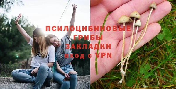 спайс Аркадак