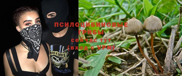 круглые Армянск
