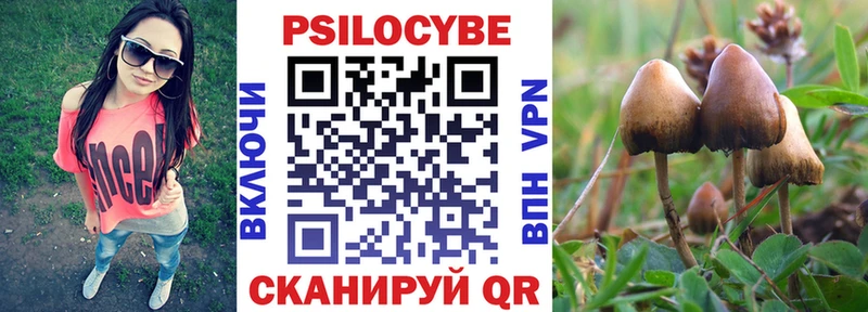 Галлюциногенные грибы Psilocybine cubensis  Рассказово 