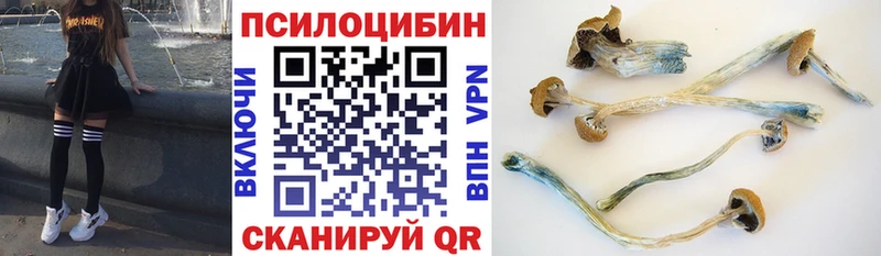 Псилоцибиновые грибы прущие грибы Рассказово